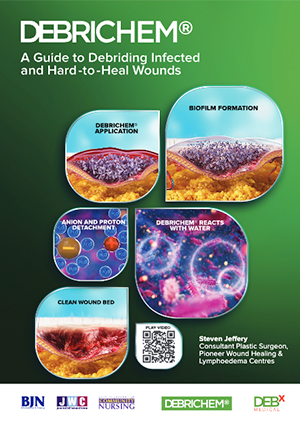 Debrichem (1) publication